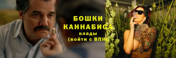 трава Осинники