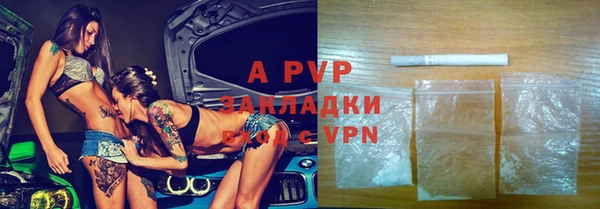трава Осинники