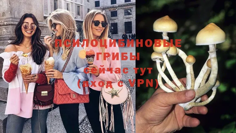 закладка  OMG зеркало  Галлюциногенные грибы Psilocybe  Усолье-Сибирское 