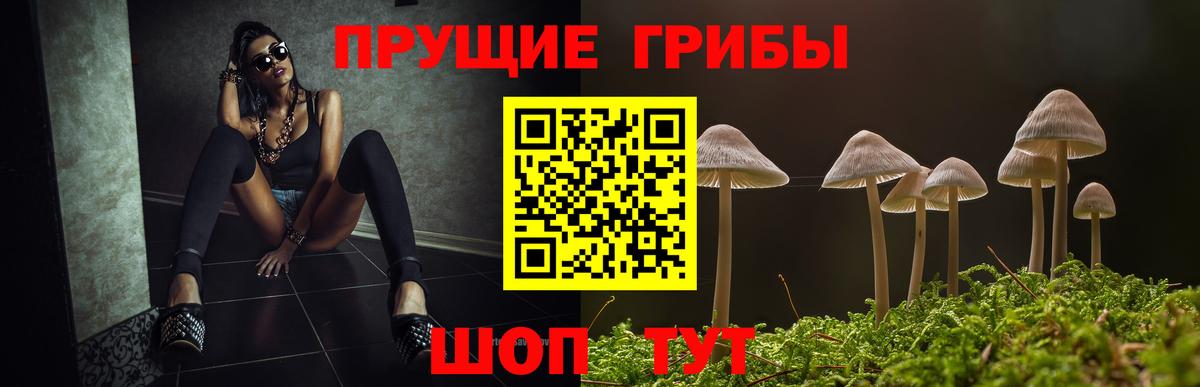 Галлюциногенные грибы Psilocybine cubensis  Вход с VPN  Псилоцибиновые грибы Cubensis  Усолье-Сибирское 
