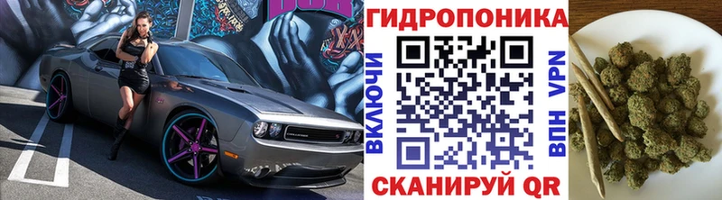 Бошки марихуана Bruce Banner сайты даркнета какой сайт Усолье-Сибирское